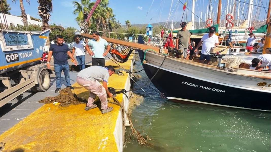 Denizden çıkarıldı: 500 metrekare büyüklüğünde! Böylesi görülmemişti, çevreyi mahvediyor 9